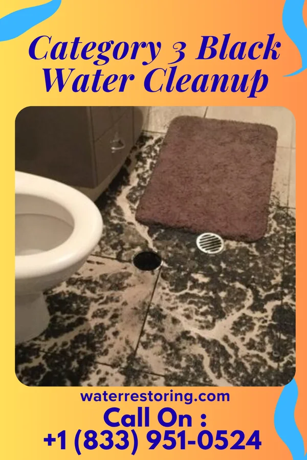 Category 3 Black Water Cleanup in Abingdon, IL